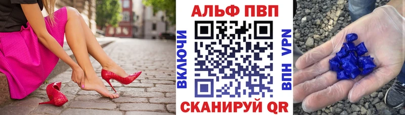 Альфа ПВП СК КРИС  Бородино 