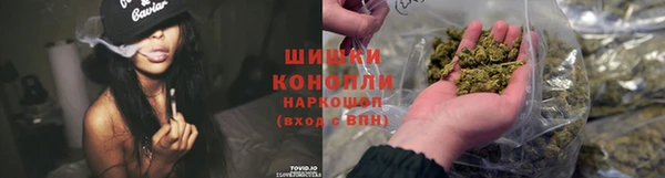 СК Белокуриха