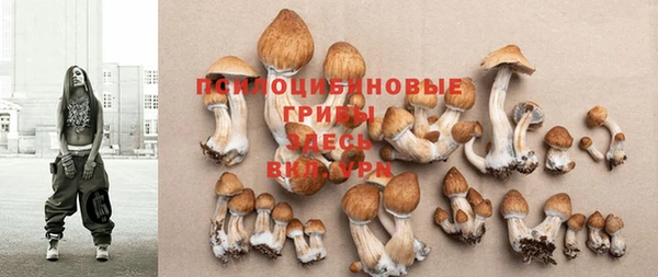 СК Белокуриха