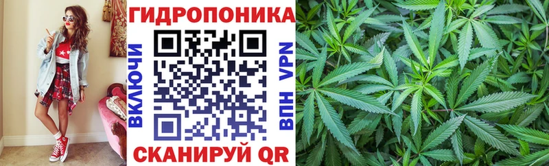 МАРИХУАНА конопля  даркнет сайт  Бородино 